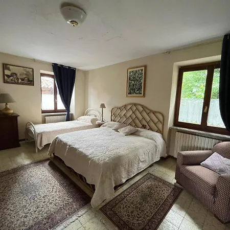 Il Gufo E Il Gatto Del