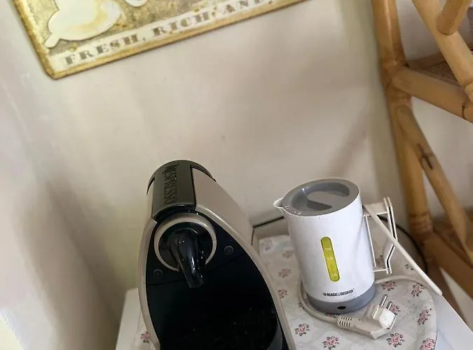 Il Gufo E Il Gatto Del 3*