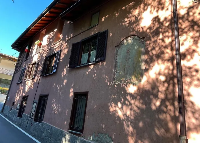 Il Gufo E Il Gatto Del Travedona