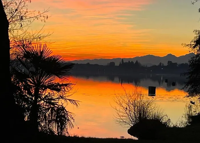 招待所 Il Gufo E Il Gatto Del 3*