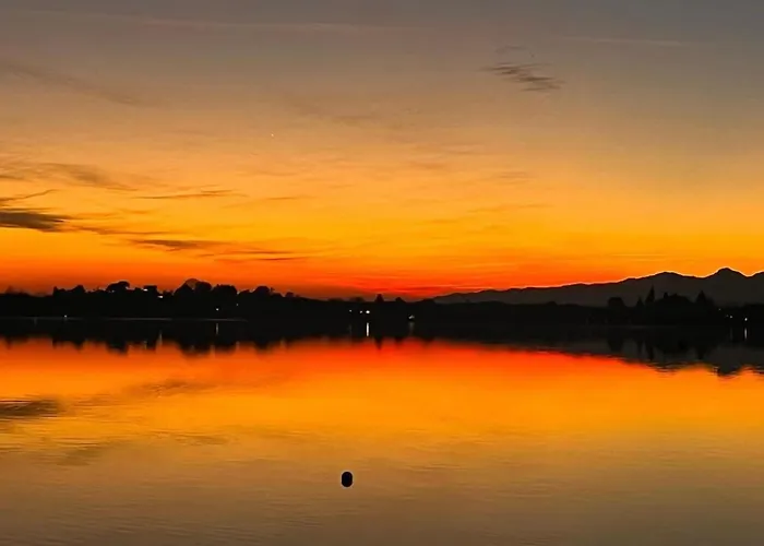 Il Gufo E Il Gatto Del 招待所 Travedona