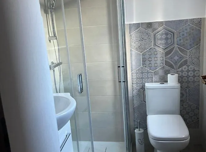 Il Gufo E Il Gatto Del 招待所