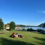 Il Gufo E Il Gatto Del 3*