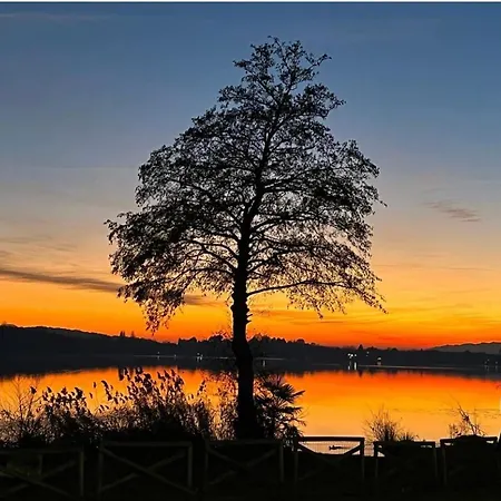 Il Gufo E Il Gatto Del Maison d'hôtes Travedona