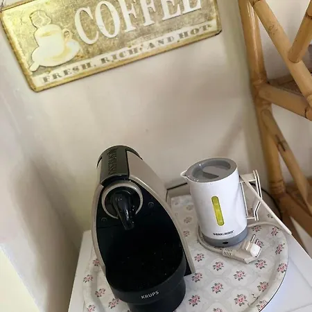 Il Gufo E Il Gatto Del 3*