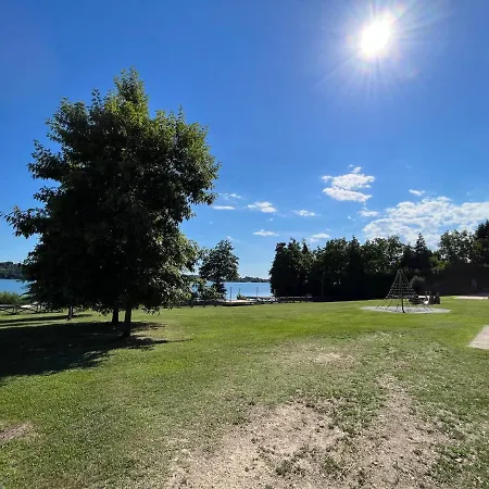 Il Gufo E Il Gatto Del ゲストハウス 3*