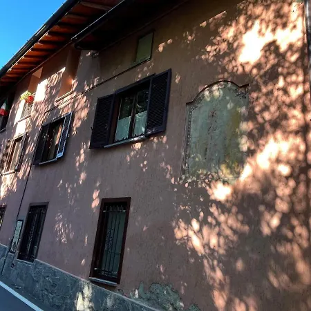 Il Gufo E Il Gatto Del Travedona