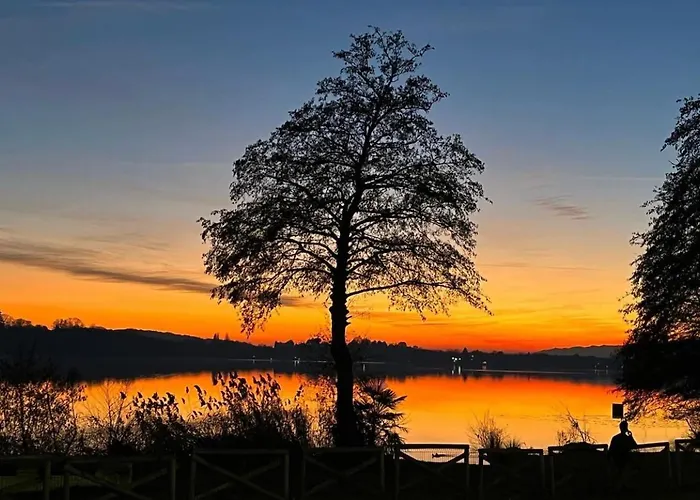 Il Gufo E Il Gatto Del 게스트하우스 Travedona