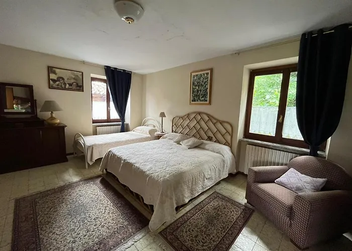 Il Gufo E Il Gatto Del