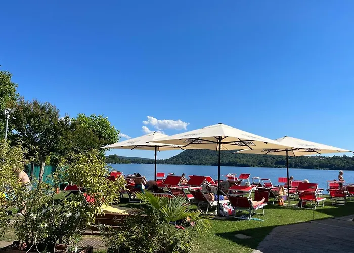 Il Gufo E Il Gatto Del 3*