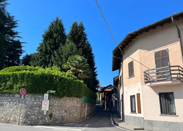 Il Gufo E Il Gatto Del Gasthuis Travedona