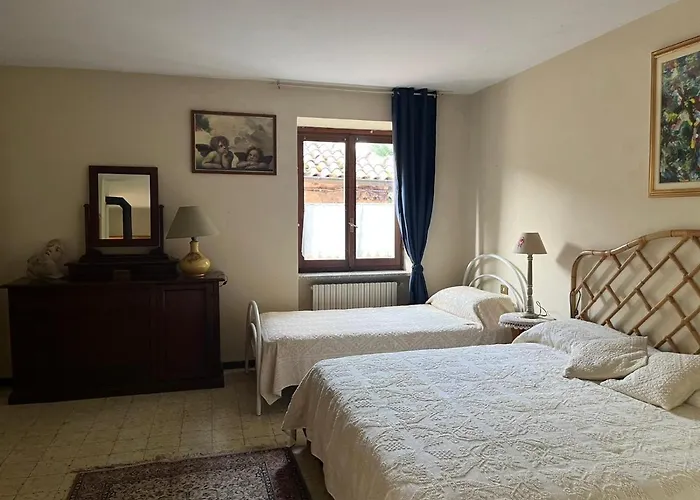 Il Gufo E Il Gatto Del Pensionat Travedona